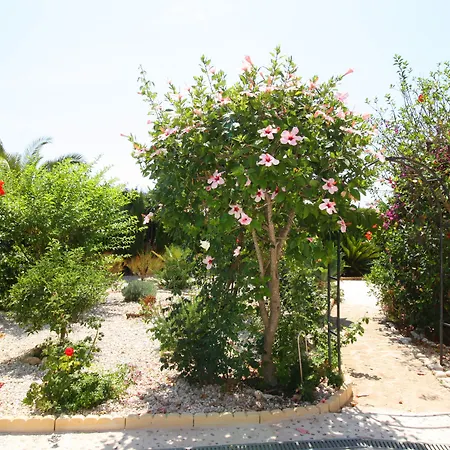 Villa Elena Costa Calpe